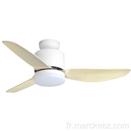 Ventilateur de plafond bas